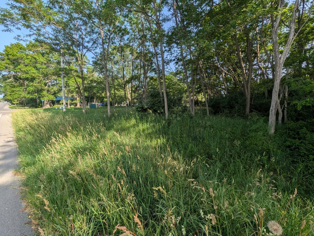 Picture 6