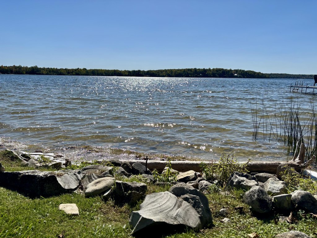 Picture 25