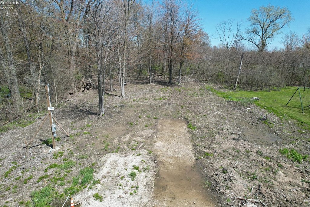 Picture 7