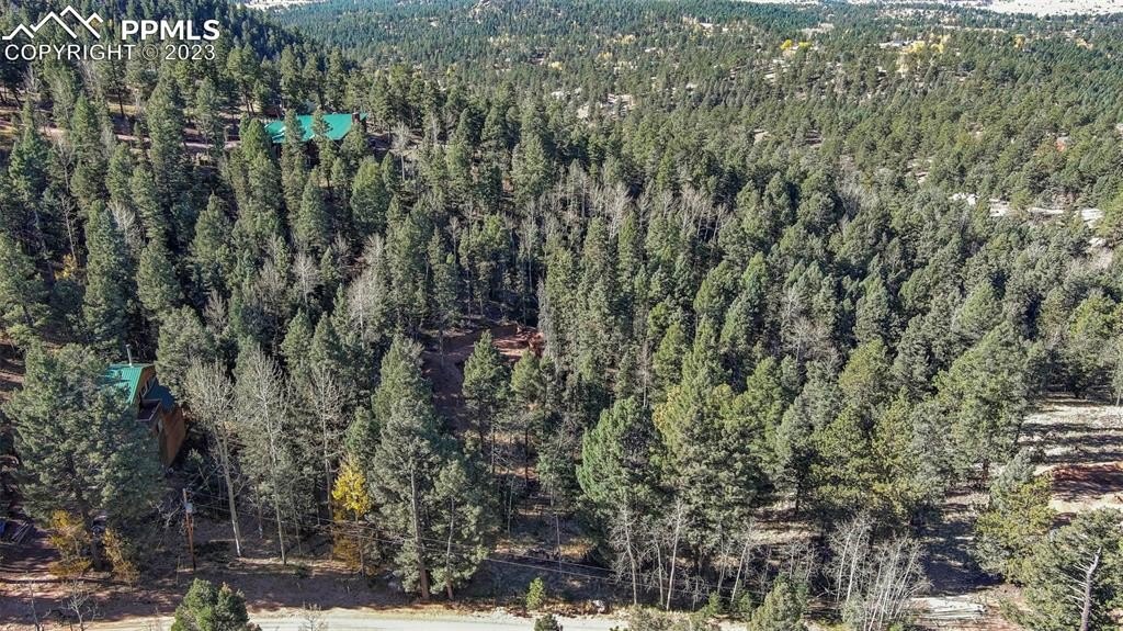 Land in Florissant, Colorado