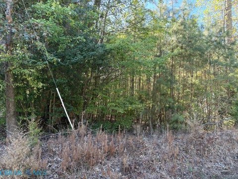 Residential Lot in Poplar Springs