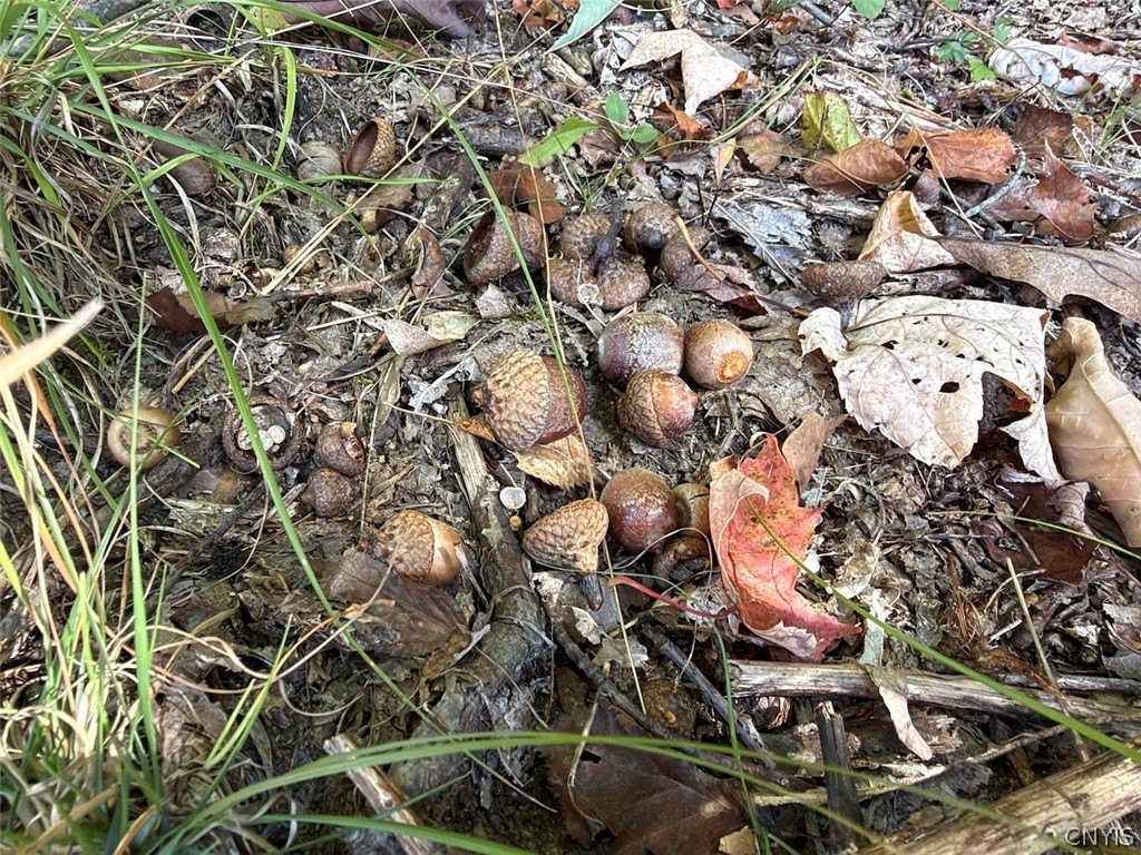 Picture 21