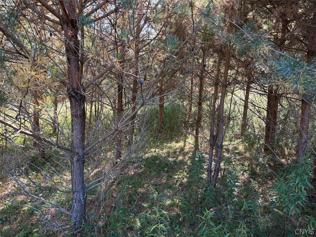 Picture 38