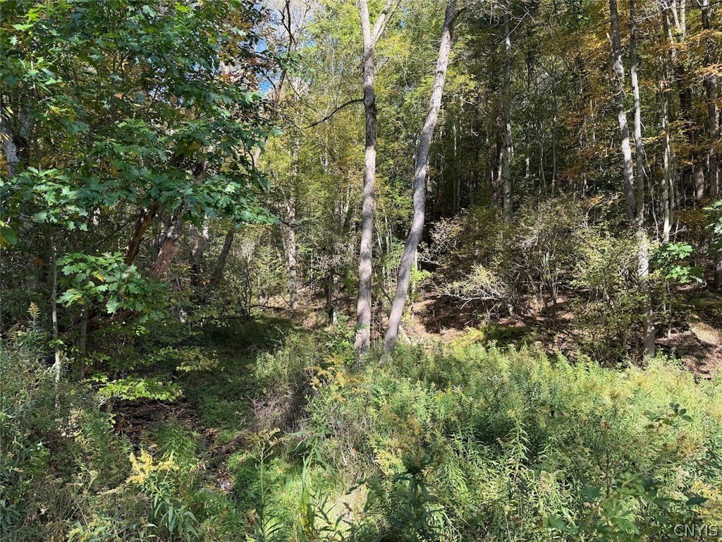 Picture 16
