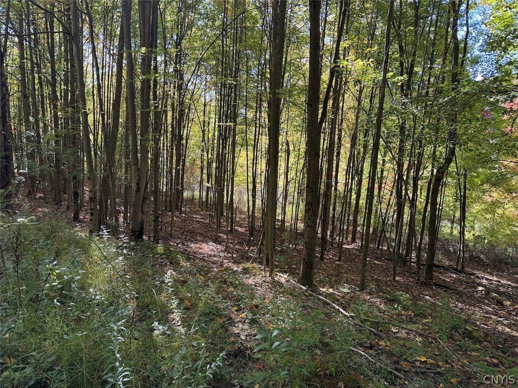 Picture 23