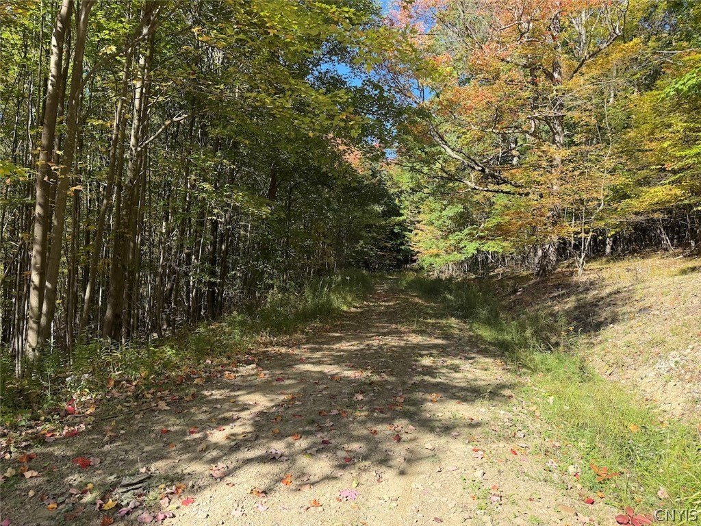 Picture 22