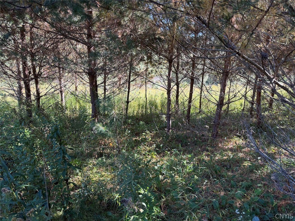 Picture 39