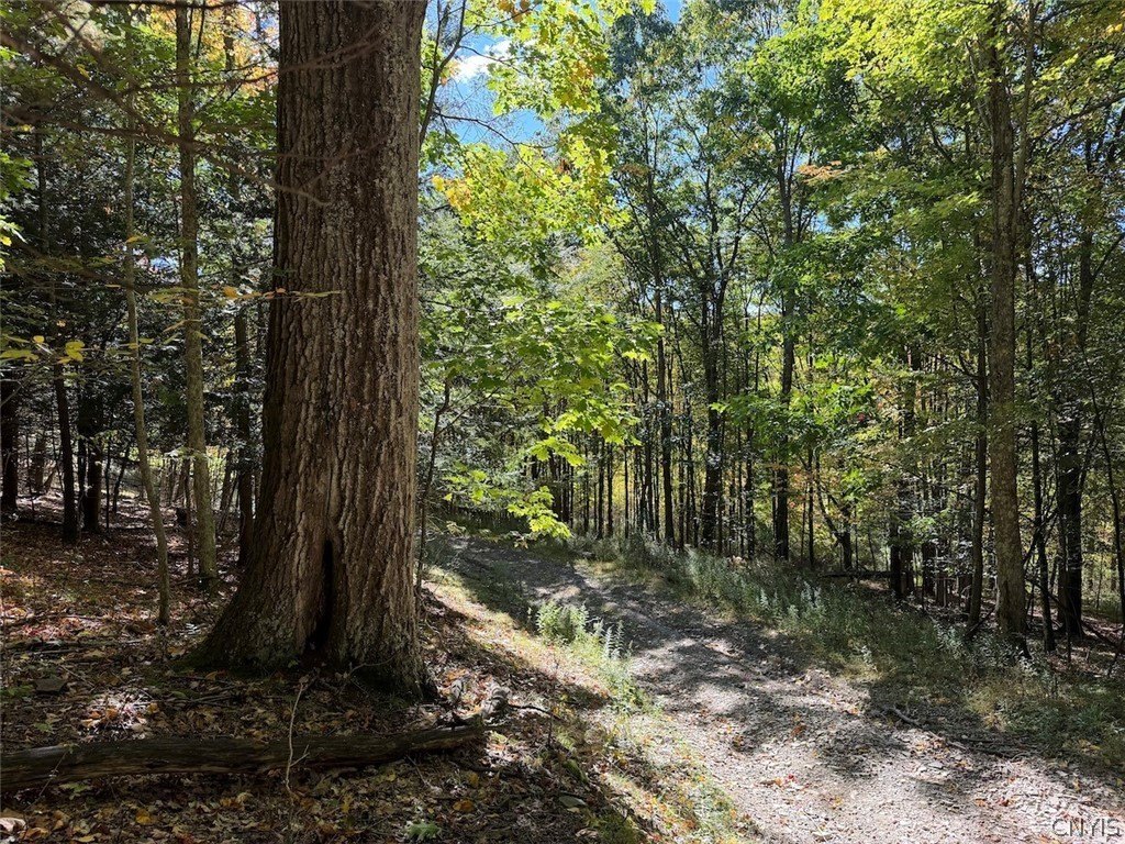 Picture 25