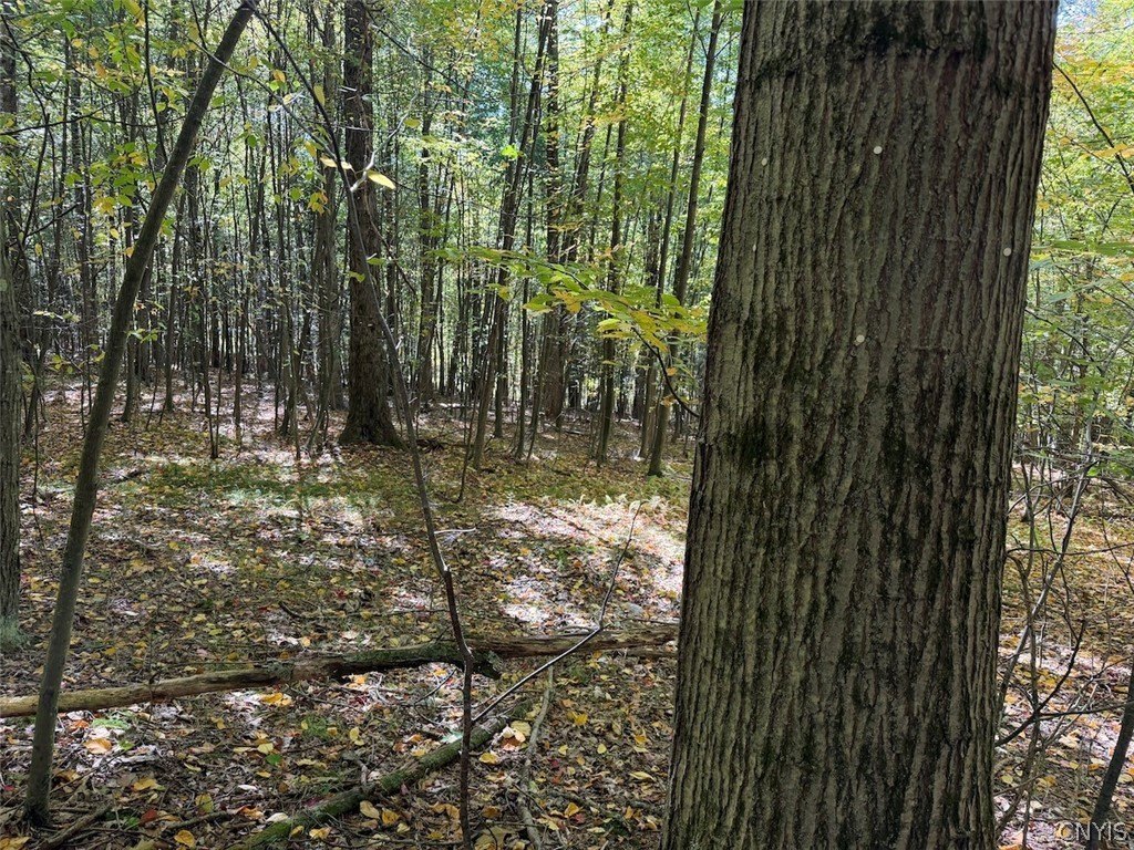 Picture 27