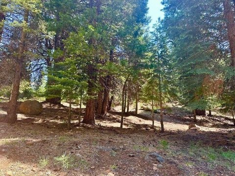 Land, Lake Almanor West, CA