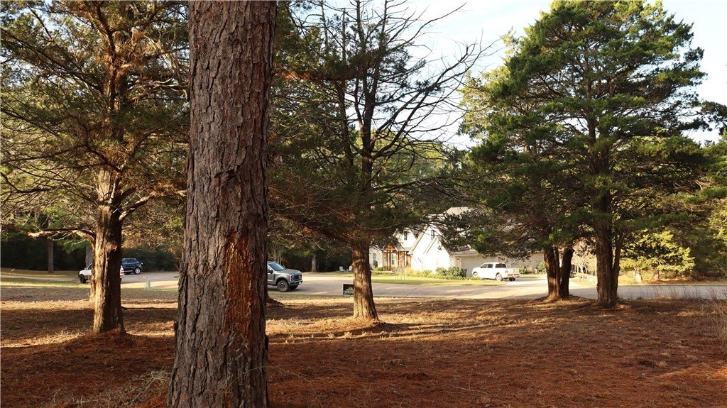 Picture 8