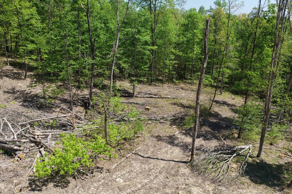 Picture 8