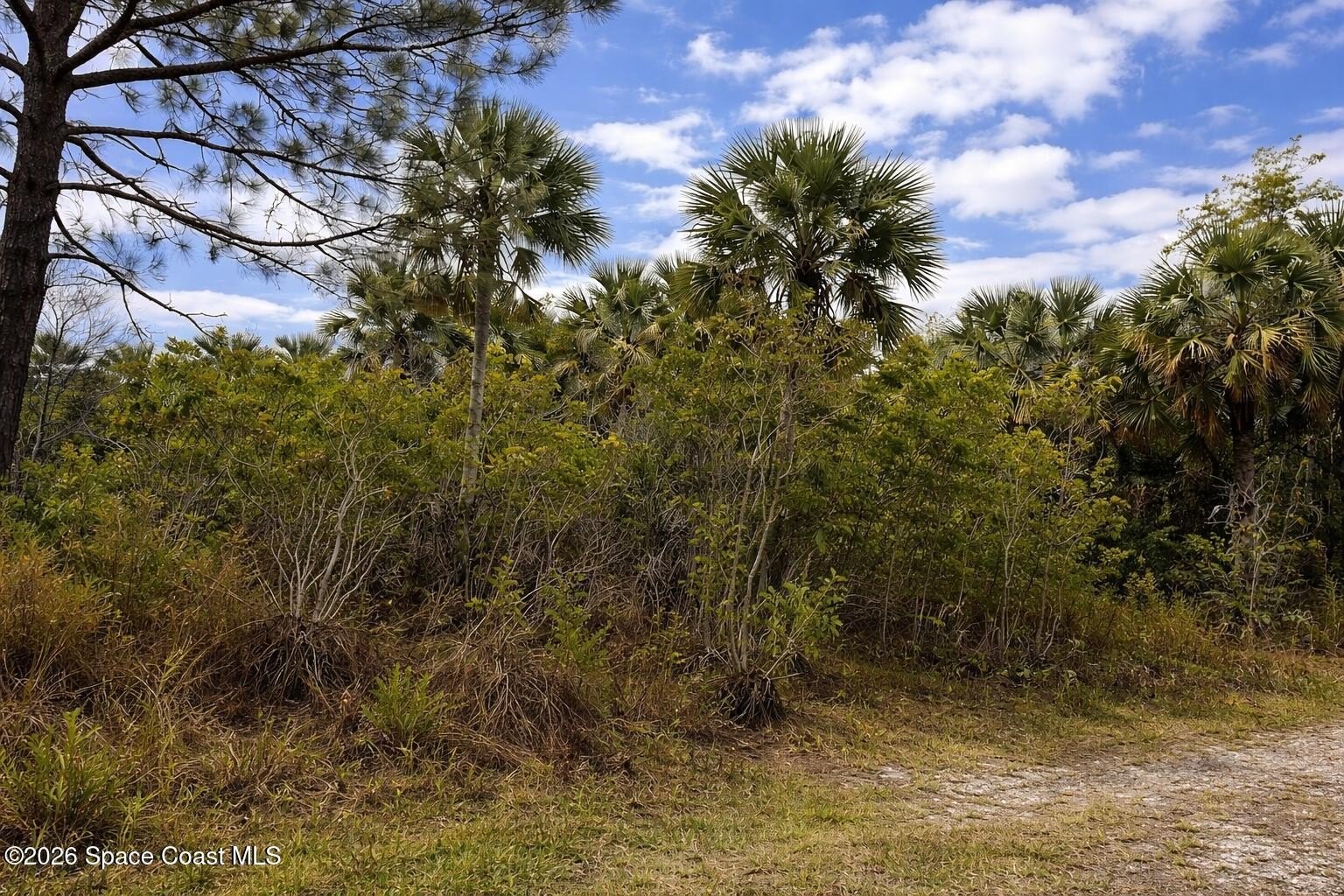 Palm Bay Canal-Front Lot
