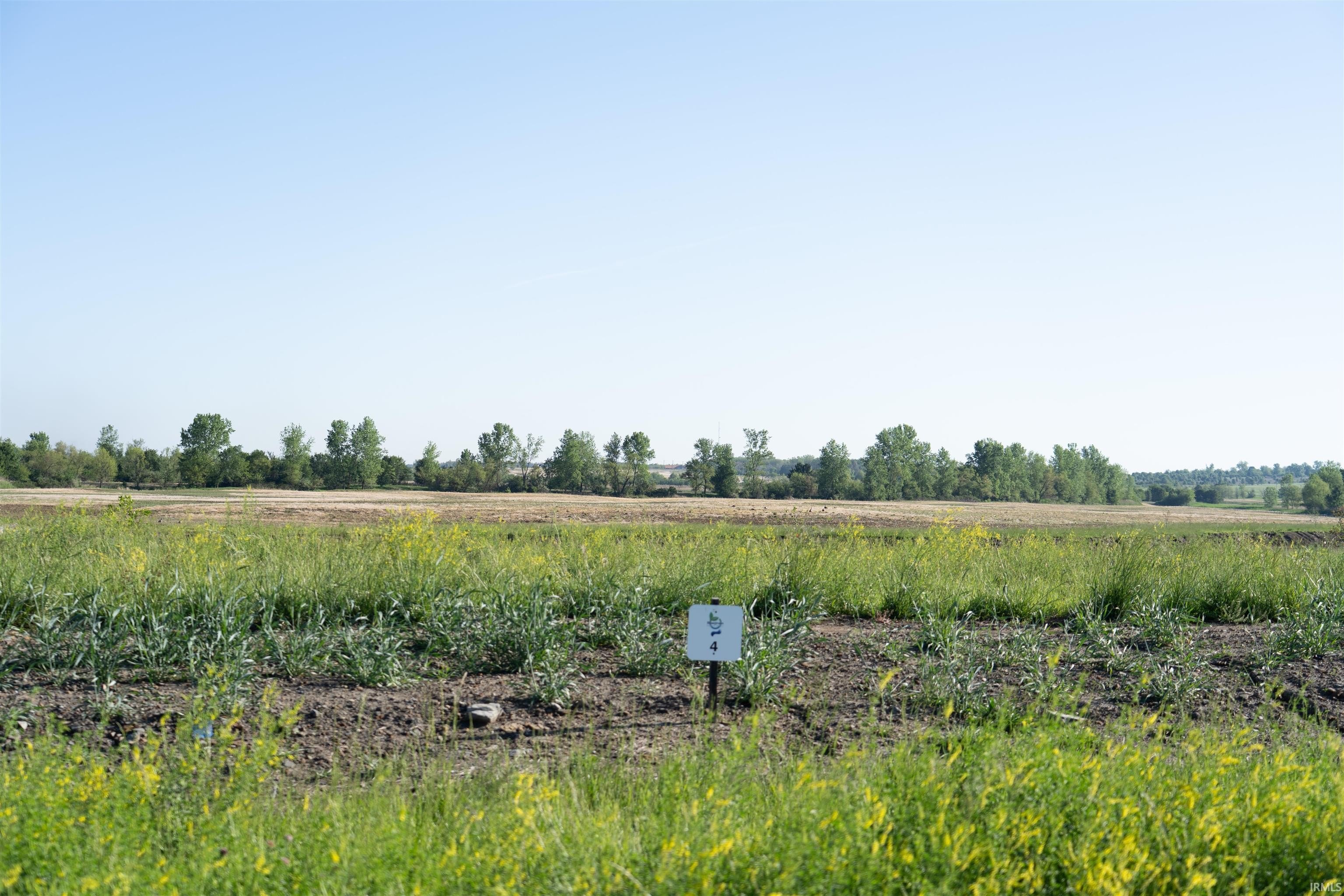 Spacious Residential Land in Chandler