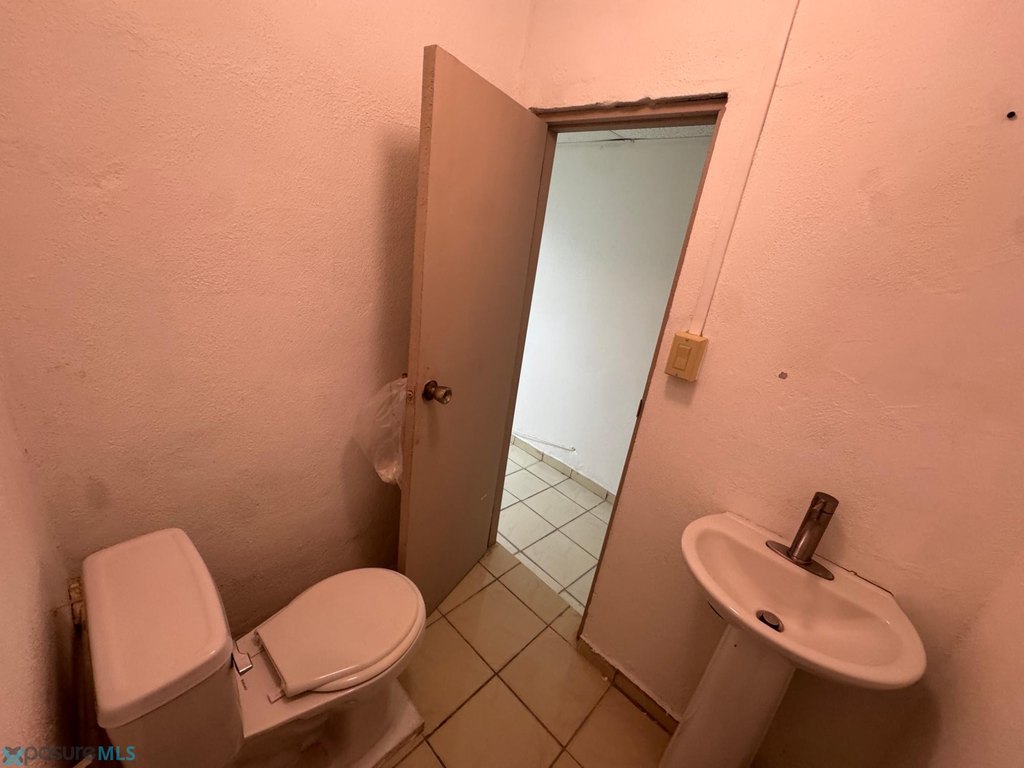 Picture 31