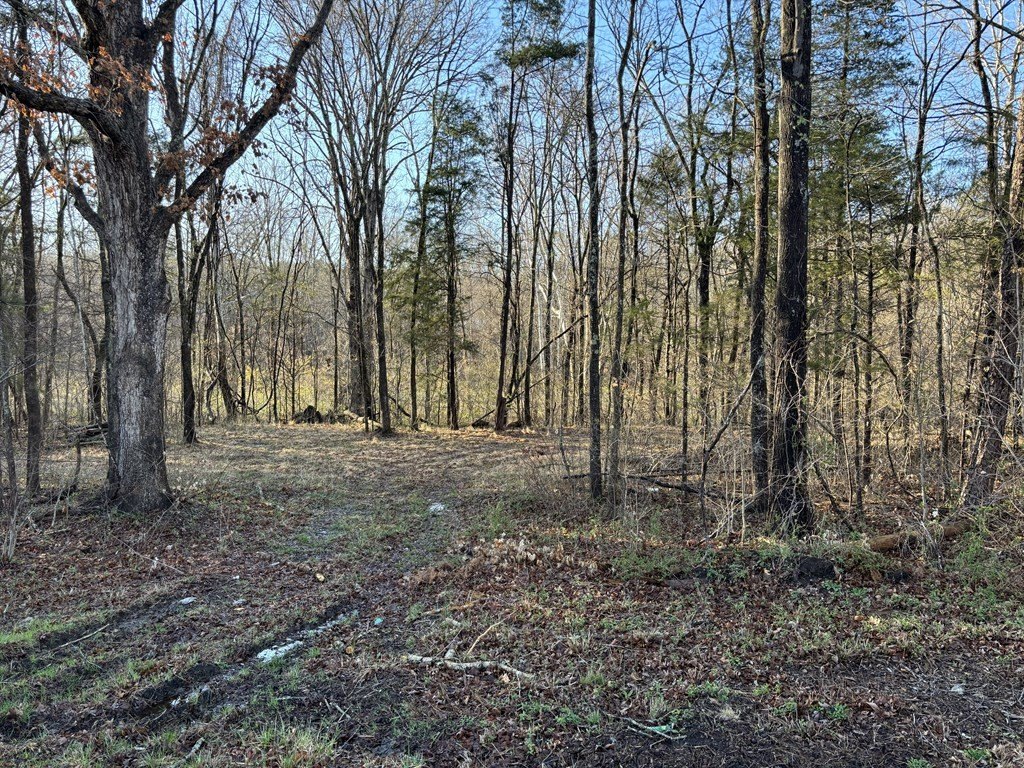 Picture 3
