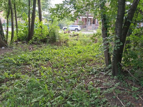 Vacant Lot in Chicago