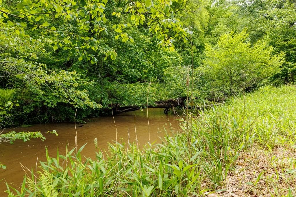 Creek Front Lot in Blue Ridge
