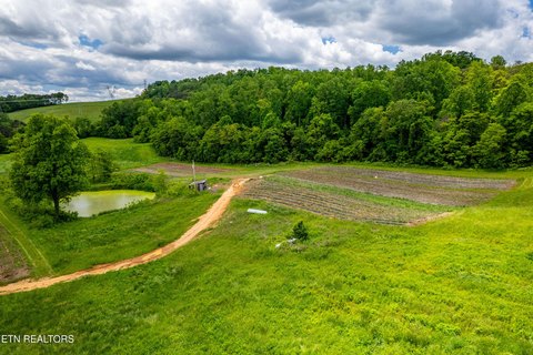 Unrestricted Farmland in Grainger County