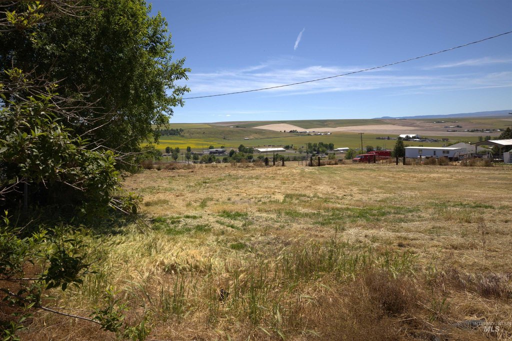 Picture 11