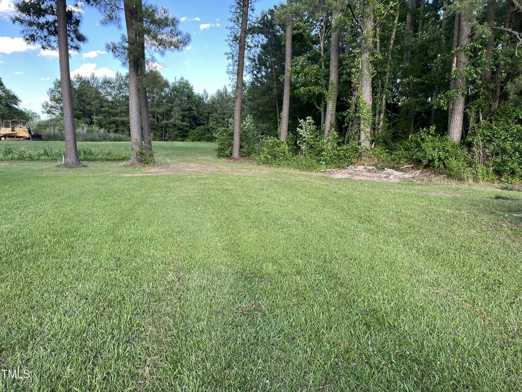 Picture 2