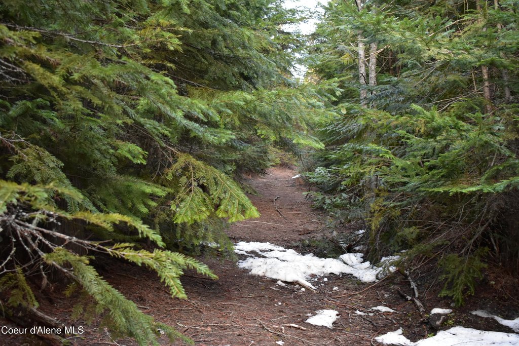 Picture 9
