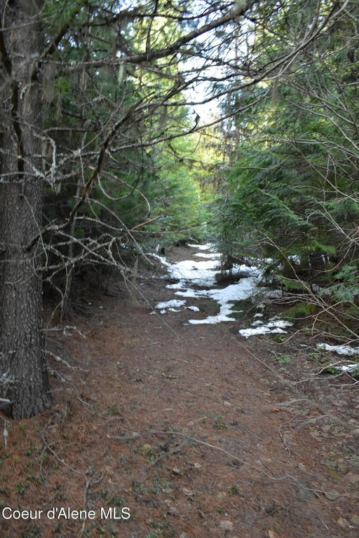 Picture 38