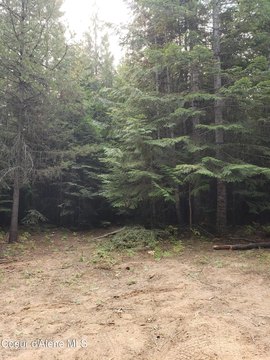 LAND - St. Maries, ID