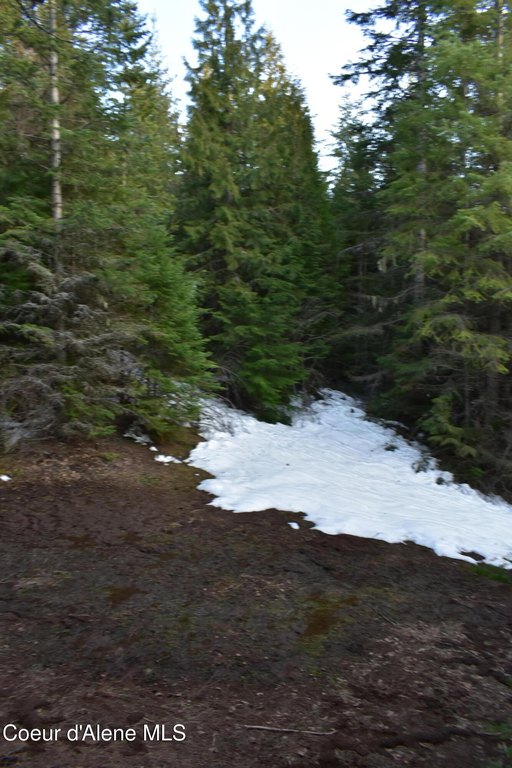 Picture 31