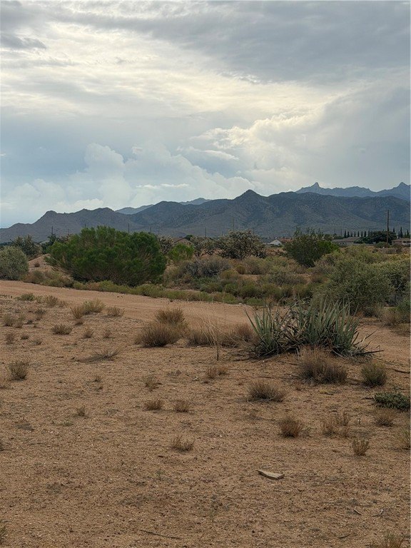 Picture 2