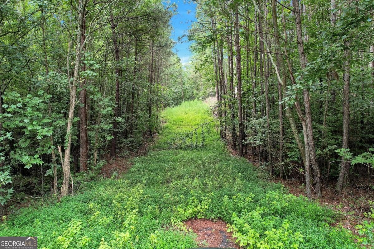 Prime 3-Acre Parcel in Douglasville