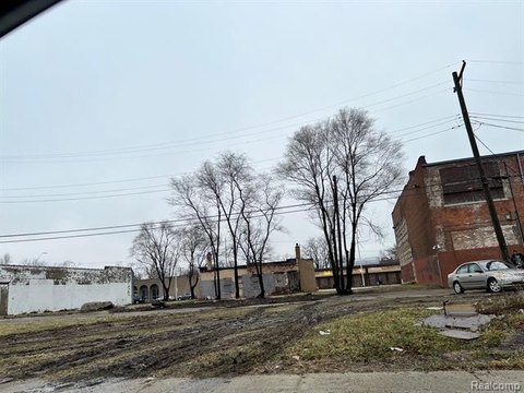 Detroit Land Opportunity