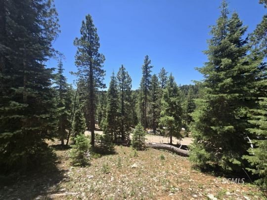 Land Parcel Borders National Forest