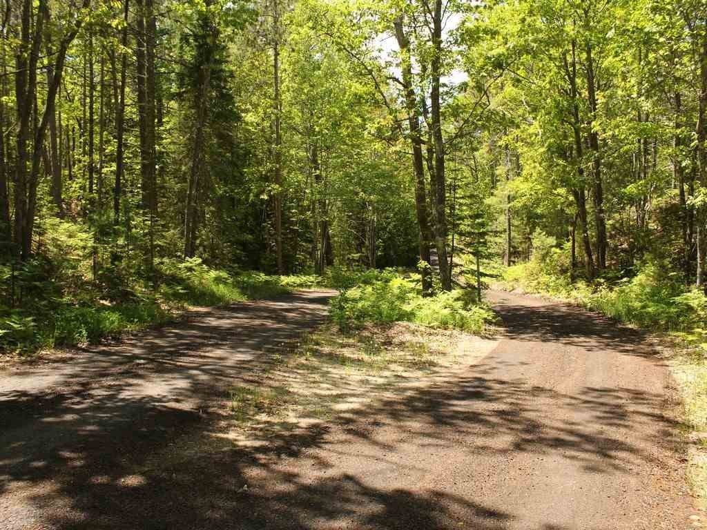 Picture 19