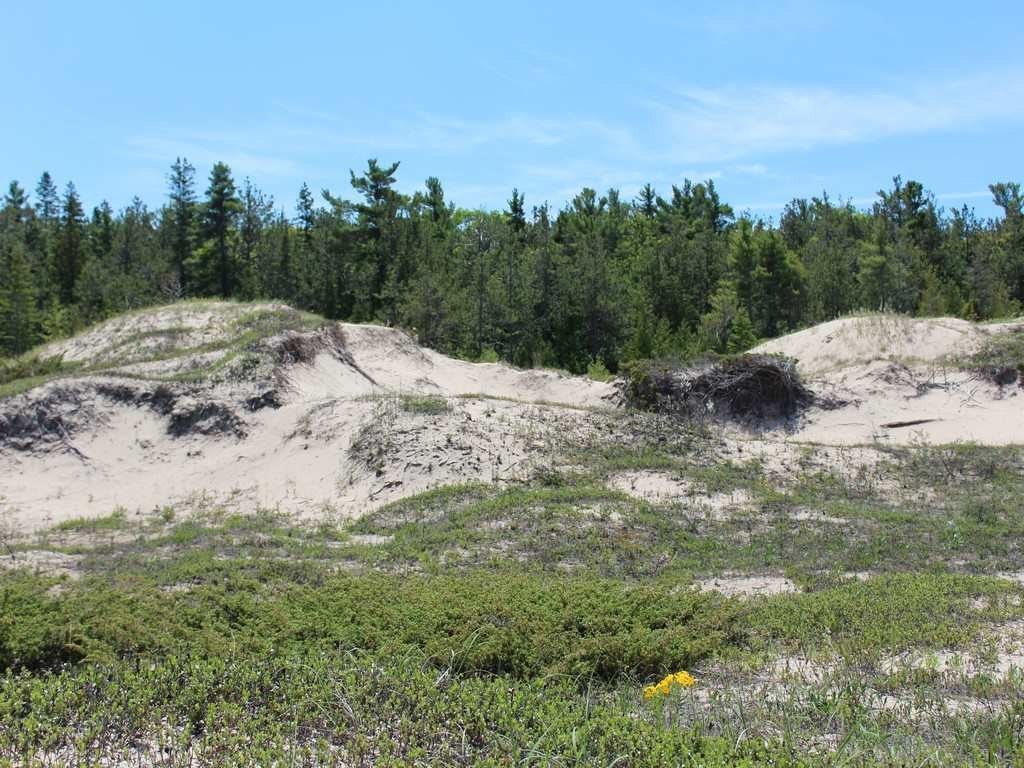 Picture 6