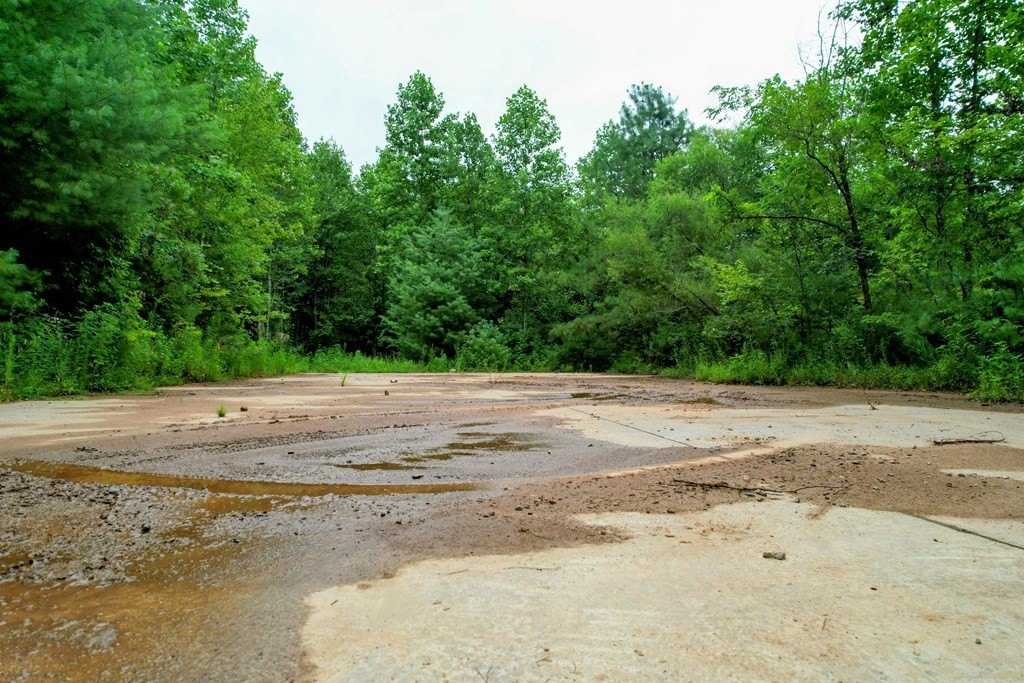 Picture 33