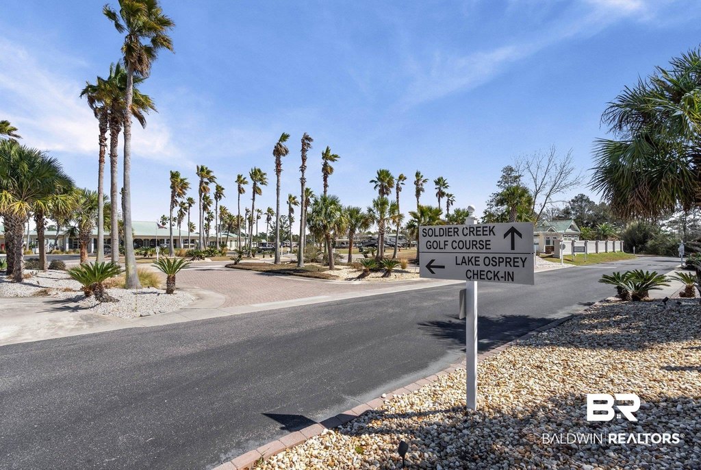 Picture 43