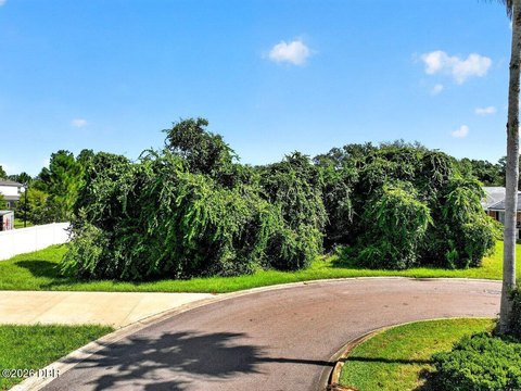 Land, Ormond Beach, FL