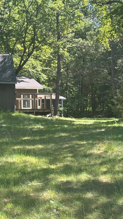 Picture 32