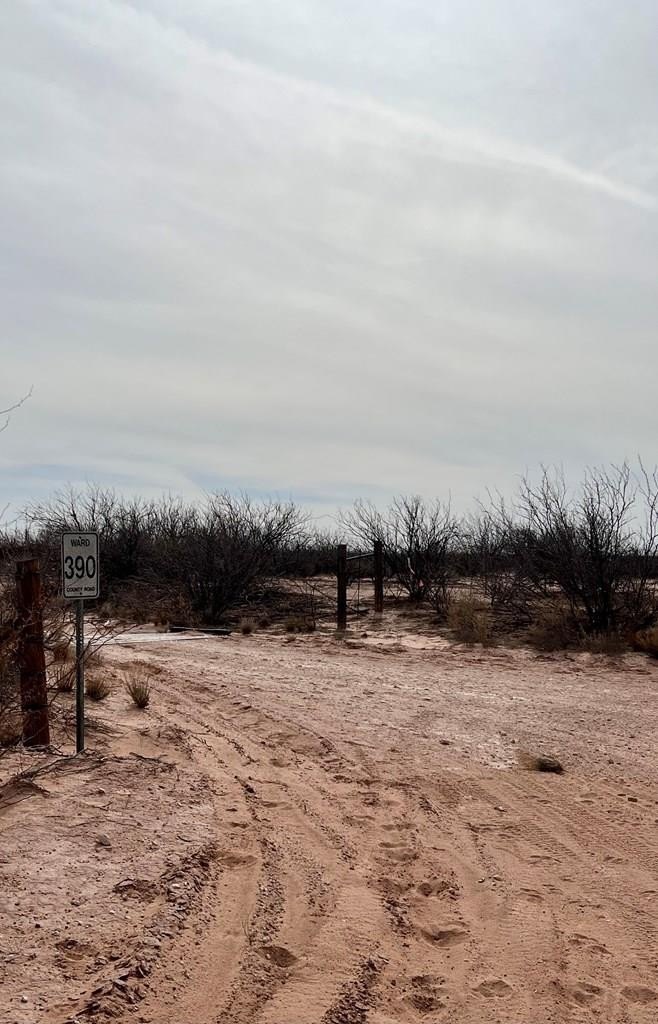 Grandfalls, TX Land For Sale