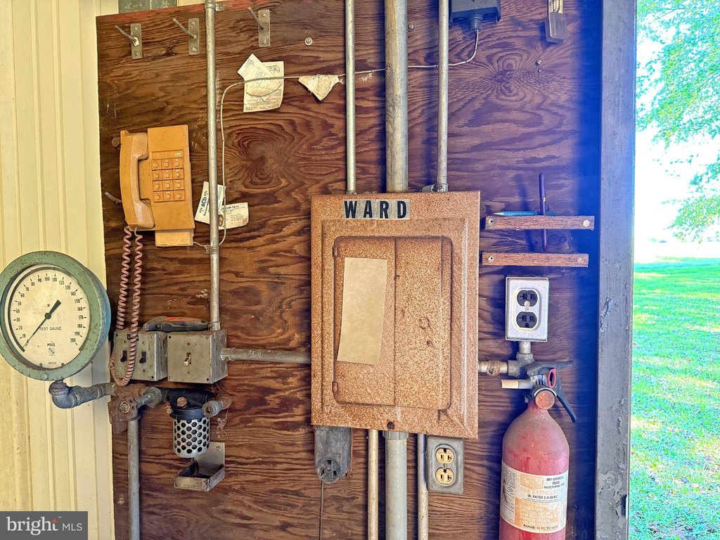 Picture 13