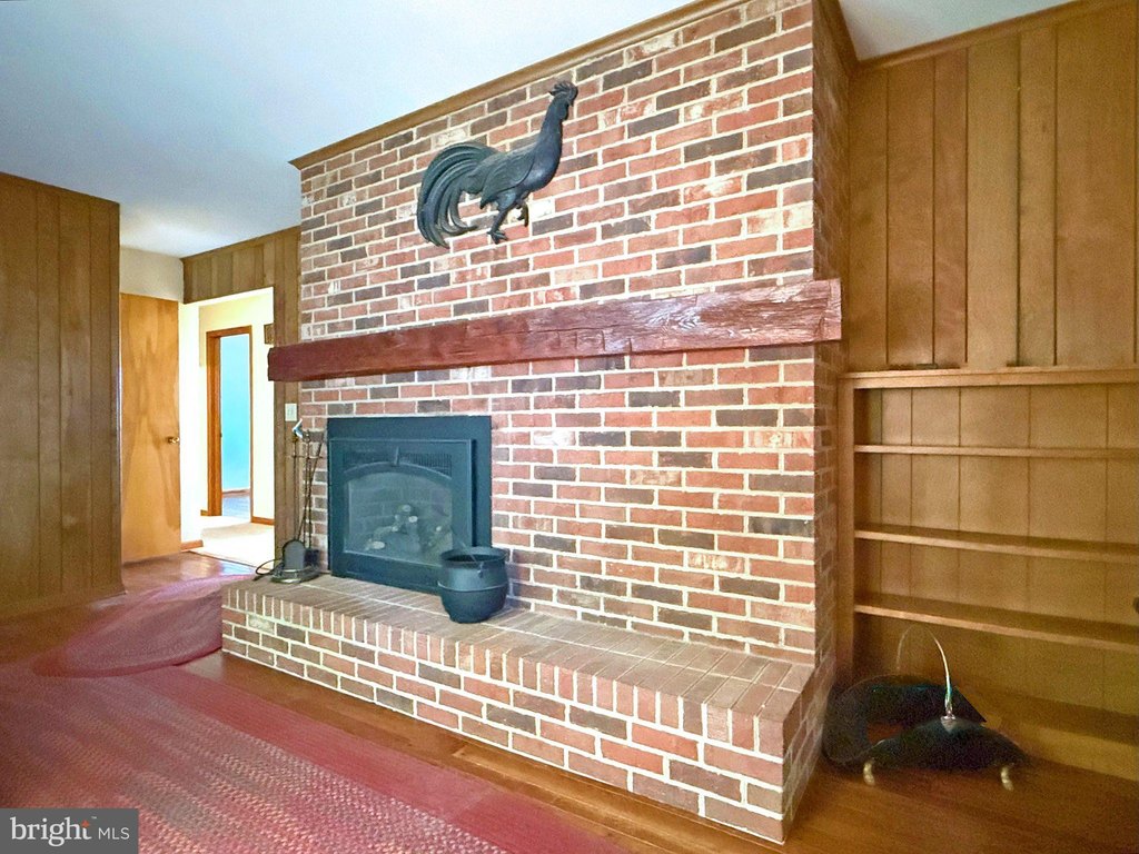 Picture 46