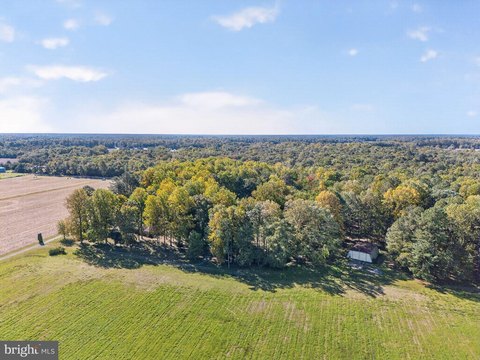 Land, MILFORD, DE