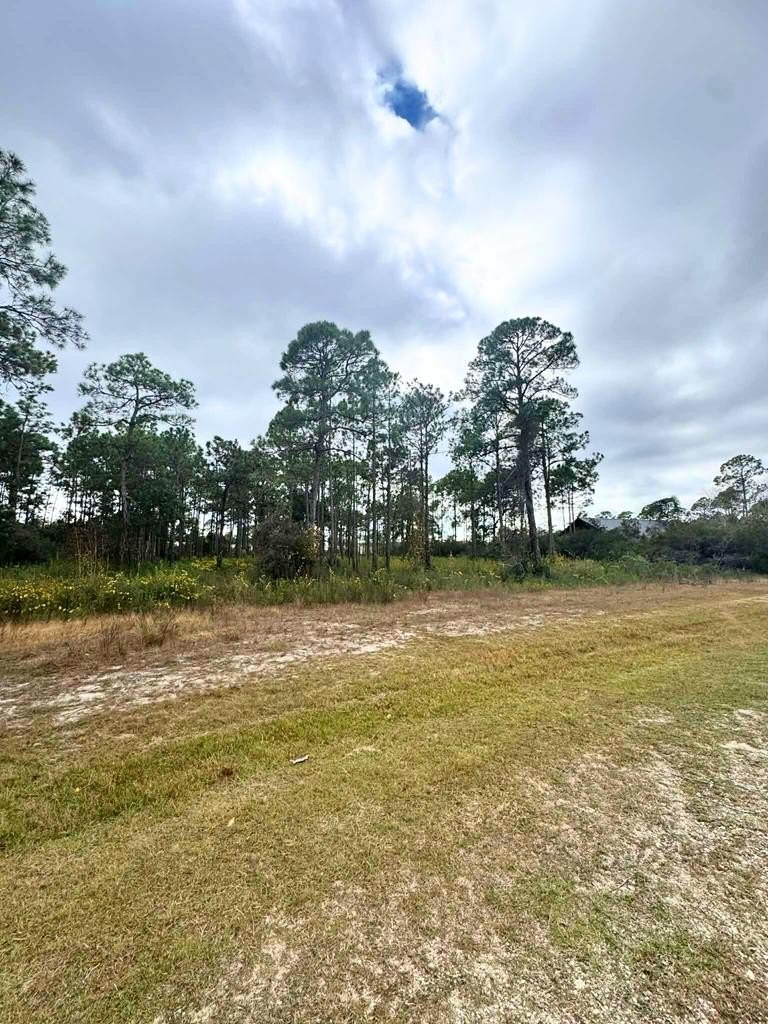 Eastpoint, FL Partially Cleared Lot
