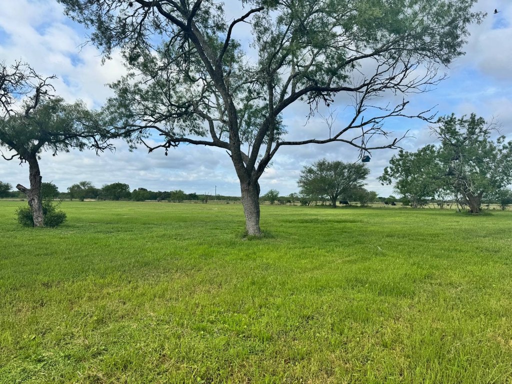 Picture 20