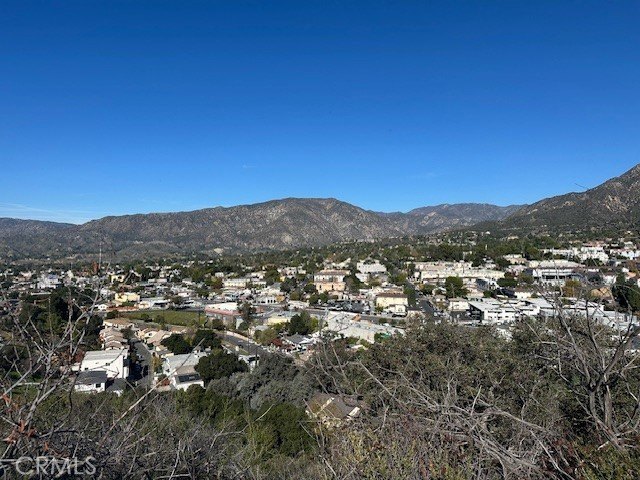 Picture 13