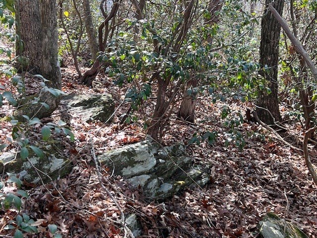 Picture 21