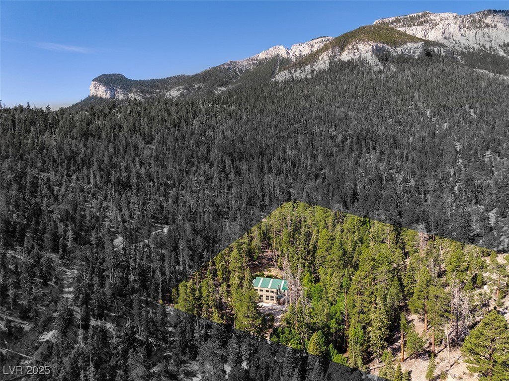 Mount Charleston Land with Cabin