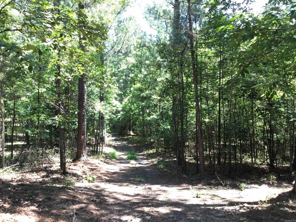 Picture 3