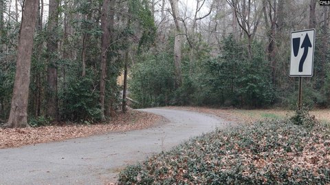 Residential Land in Wooded Subdivision